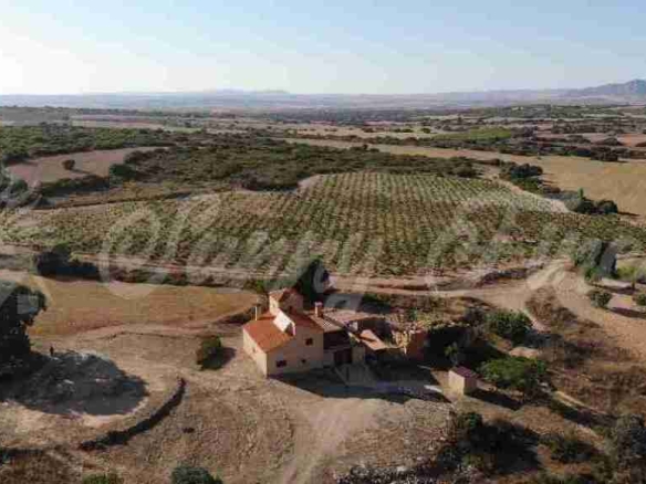 Imagen 3 de Casa-Chalet en Venta en Almansa Albacete