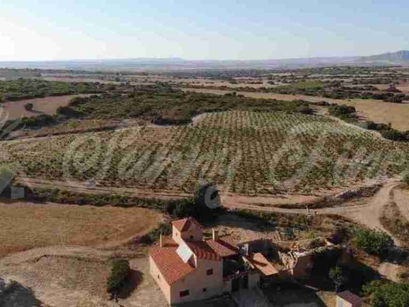 Imagen 4 de Casa-Chalet en Venta en Almansa Albacete