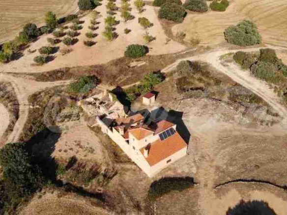 Imagen 1 de Casa-Chalet en Venta en Almansa Albacete