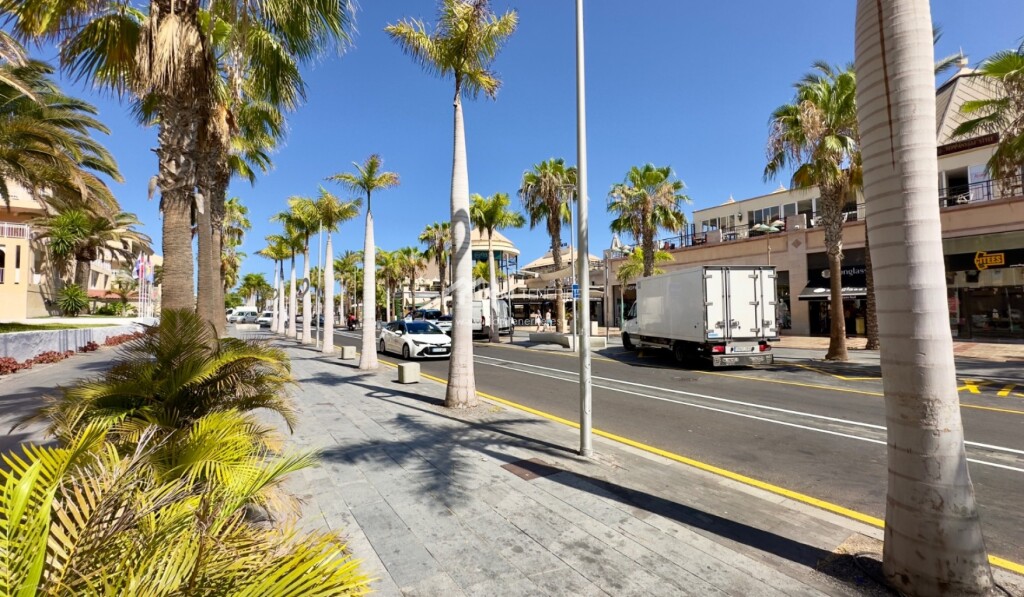 Imagen 3 de Apartamento en Alquiler en Arona Santa Cruz de Tenerife