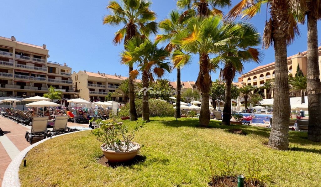 Imagen 4 de Apartamento en Alquiler en Arona Santa Cruz de Tenerife