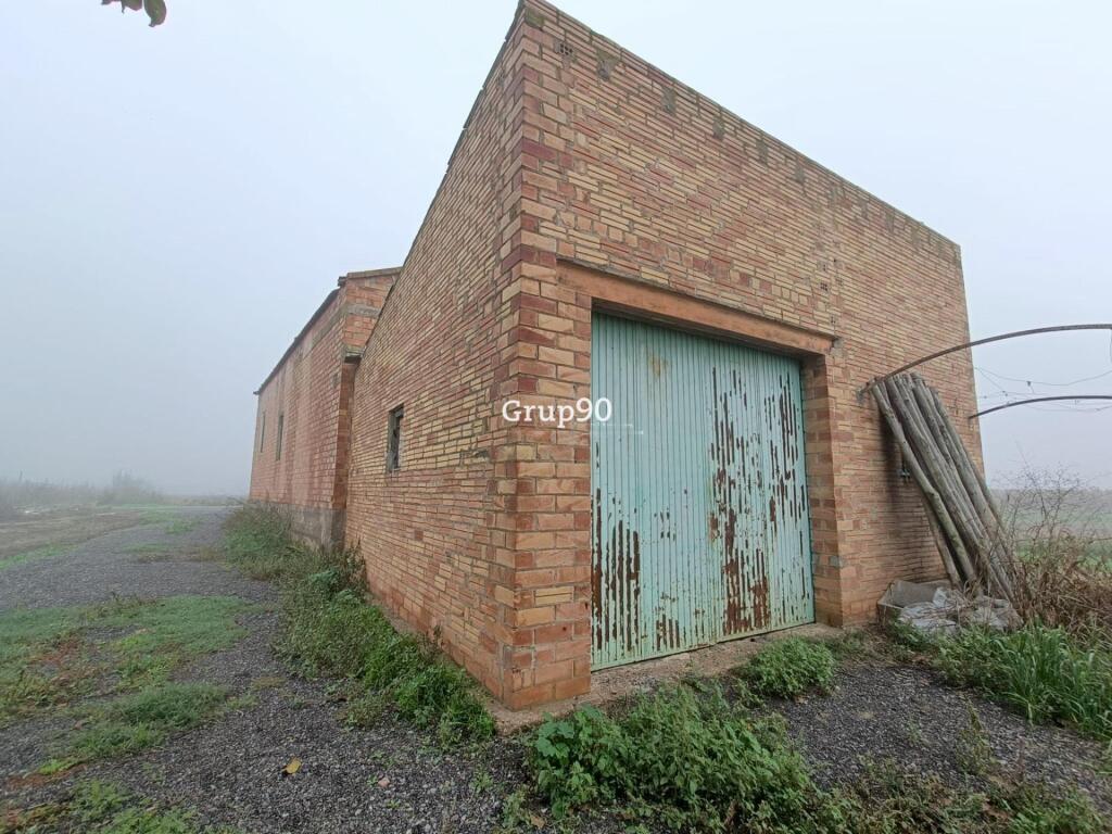Imagen 2 de Finca de regadío con almacenes en venta en Alcoletge.