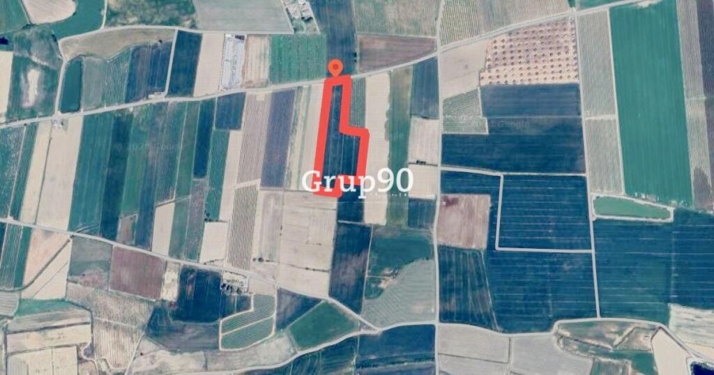 Imagen 3 de Finca de regadío con almacenes en venta en Alcoletge.