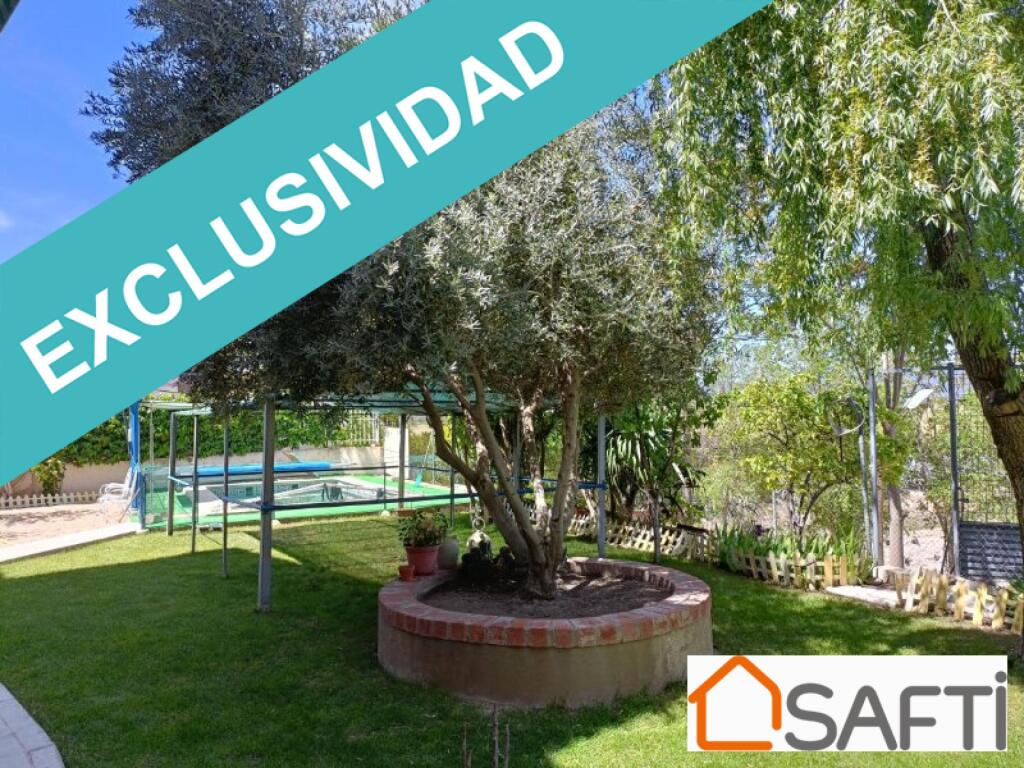 en la localidad de Arenas de San Juan ( Ciudad Real )