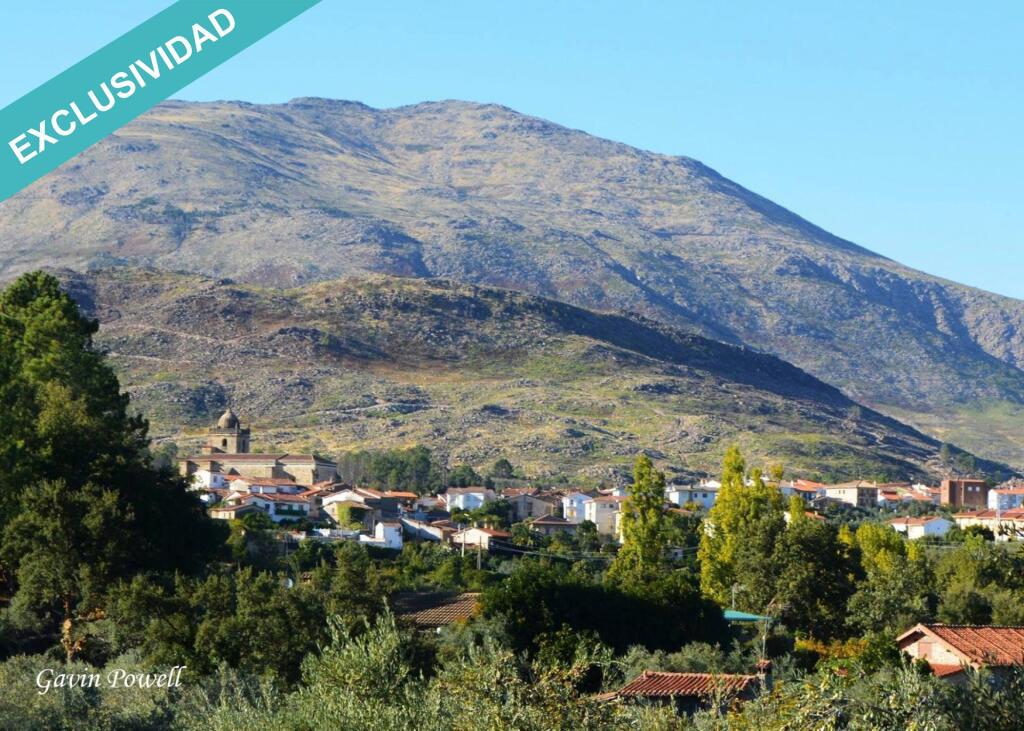 Imagen 3 de Terreno edificable a 600m del bonito pueblo serragatino de Acebo
