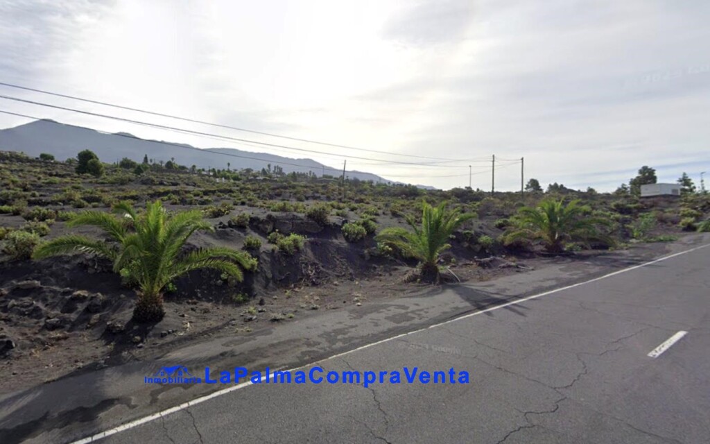 Los Santa Cruz de Tenerife