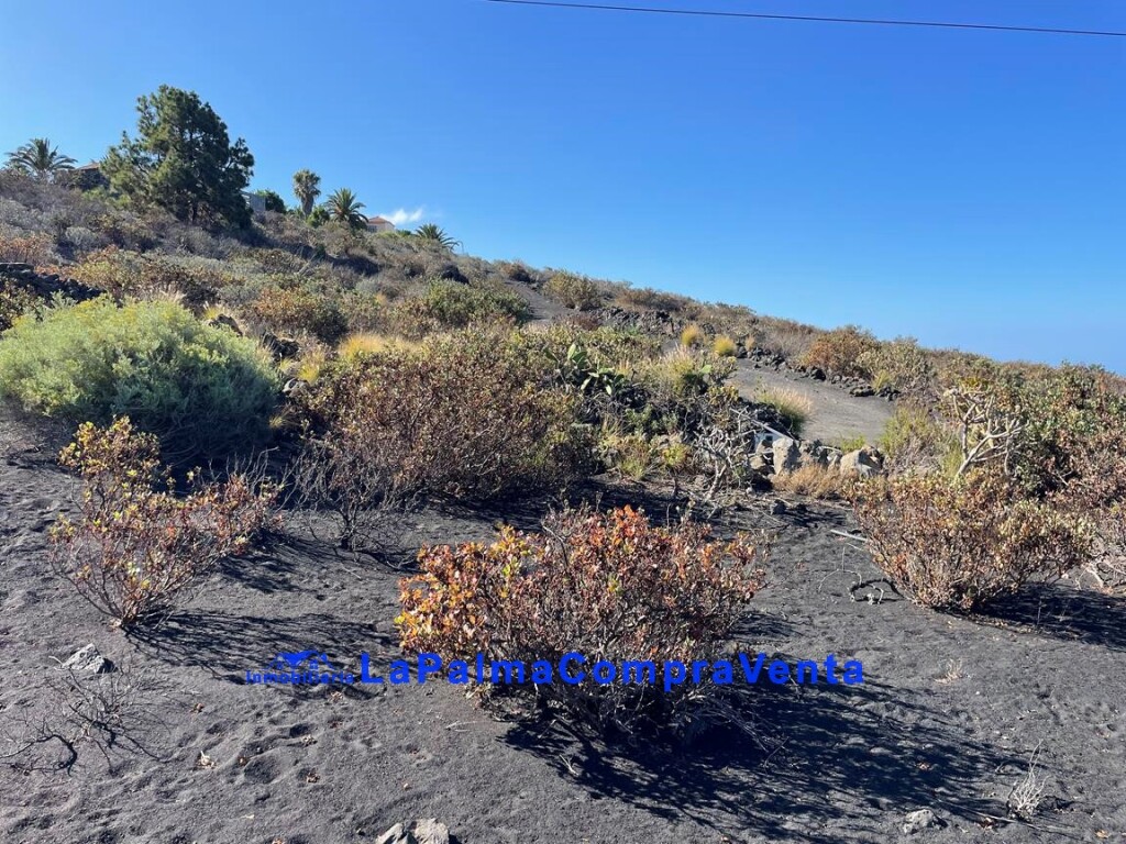 Imagen 2 de Suelo rústico en Venta en Llanos De Aridane