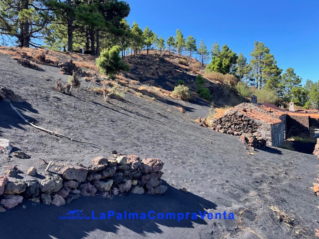 El Santa Cruz de Tenerife