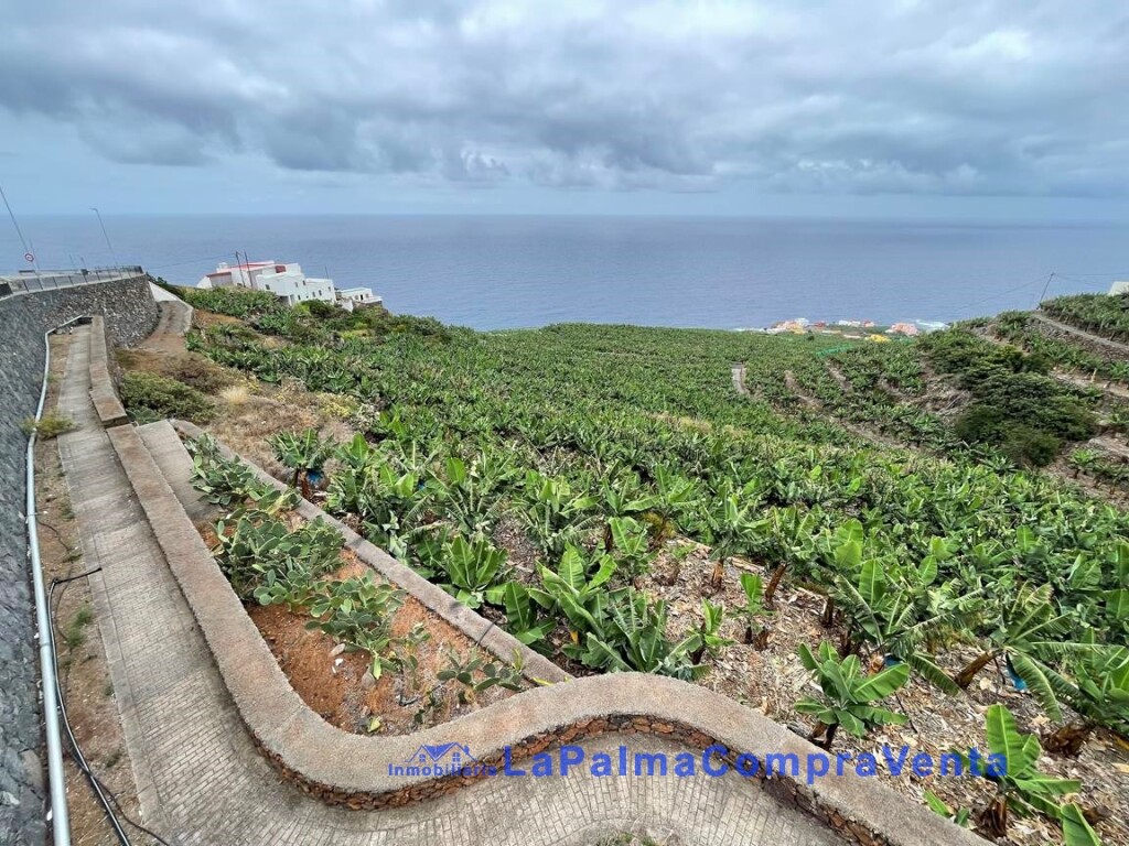 Imagen 4 de Suelo rústico en Venta en San Andres Y Sauces Santa Cruz de Tenerife