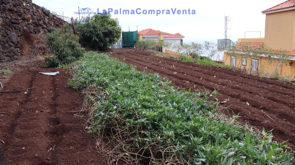 Imagen 3 de Suelo rústico en Venta en Puntallana Santa Cruz de Tenerife