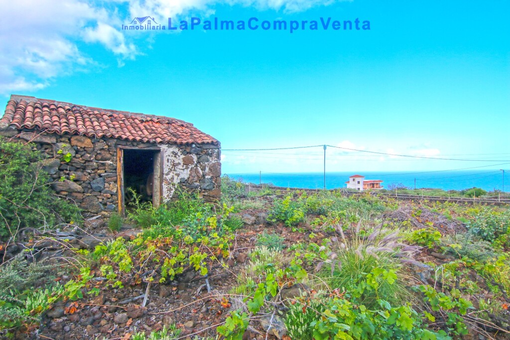 Imagen 4 de Suelo rústico en Venta en Lodero Santa Cruz de Tenerife