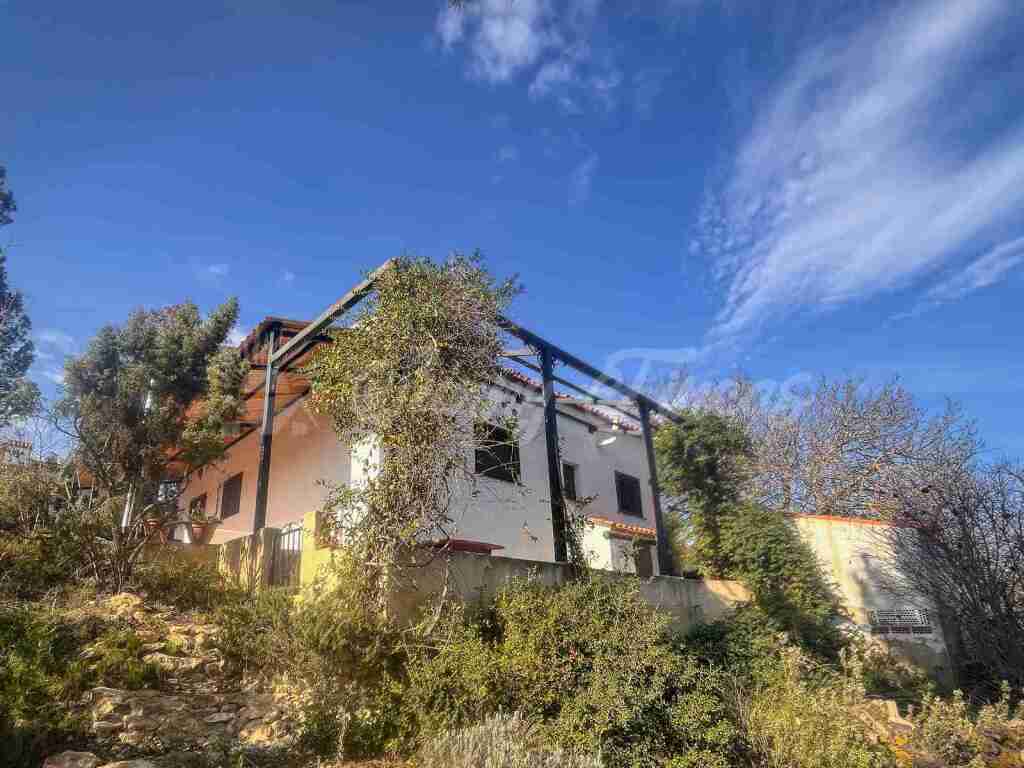 Imagen 2 de Casa-Chalet en Venta en Almansa Albacete