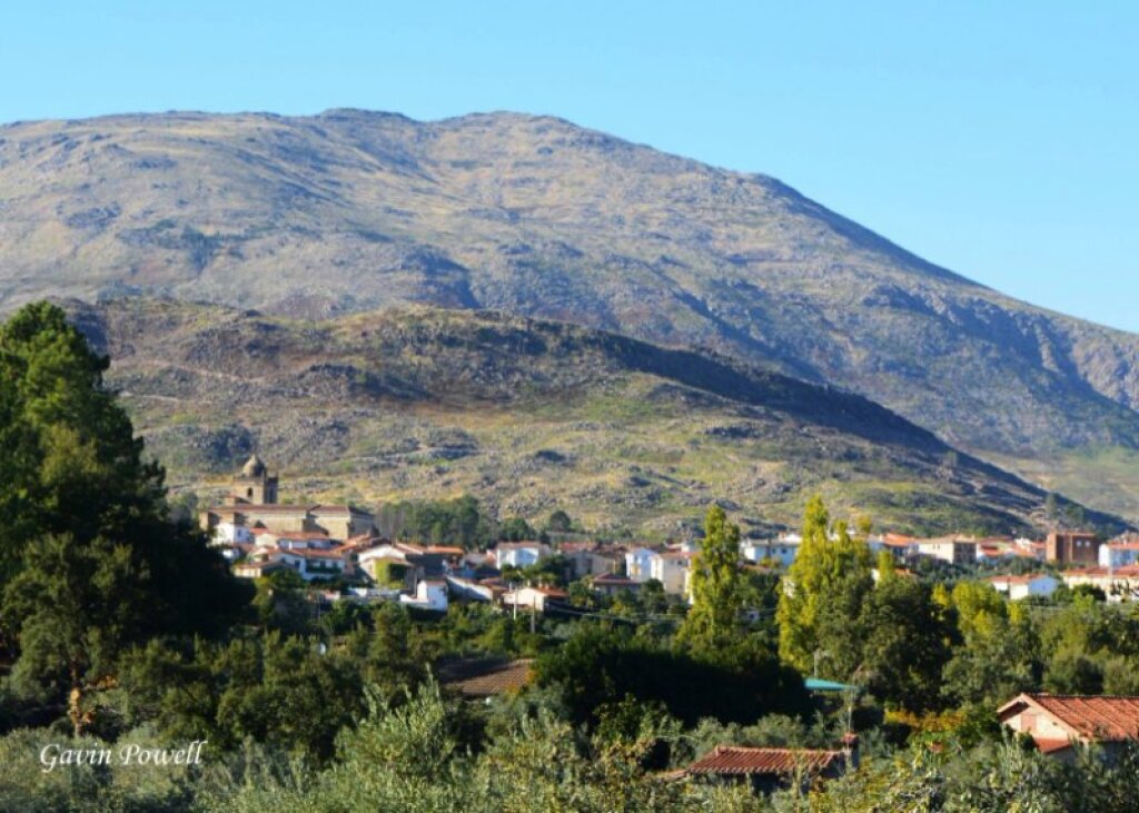 Imagen 3 de Un lugar perfecto para construir la casa de tus sueños.
