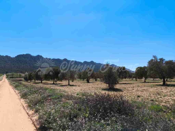 Imagen 2 de Suelo rústico en Venta en Yecla Murcia