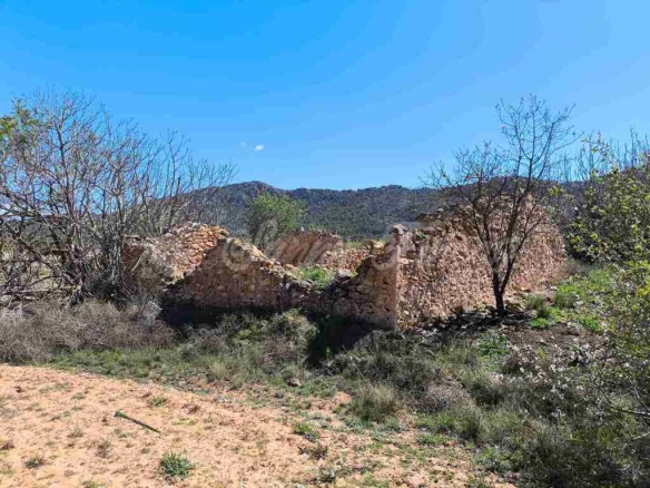 Imagen 3 de Suelo rústico en Venta en Yecla Murcia