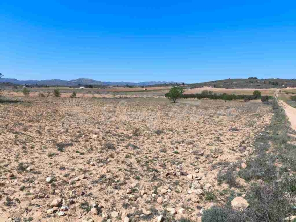 Imagen 4 de Suelo rústico en Venta en Yecla Murcia