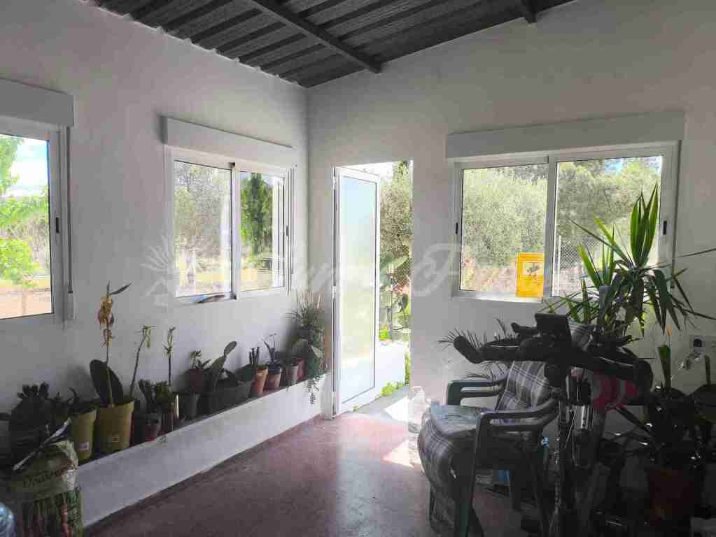 Imagen 4 de Casa de campo-Masía en Venta en Yecla Murcia