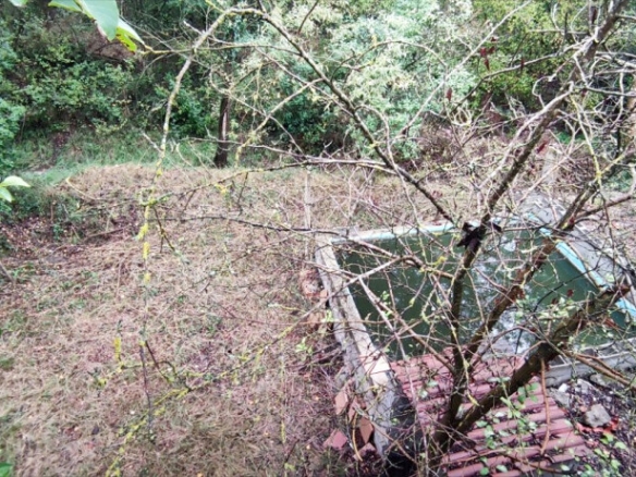 Imagen 4 de CASA CON PISCINA EN PLENA NATURALEZA EN ZONA CANET DE FALS