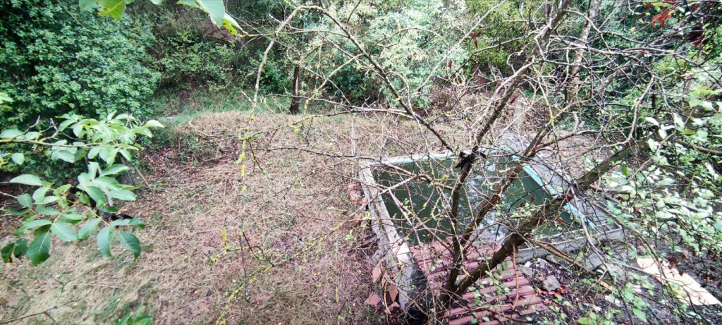 Imagen 4 de CASA CON PISCINA EN PLENA NATURALEZA EN ZONA CANET DE FALS