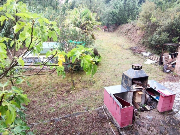 Imagen 1 de CASA CON PISCINA EN PLENA NATURALEZA EN ZONA CANET DE FALS