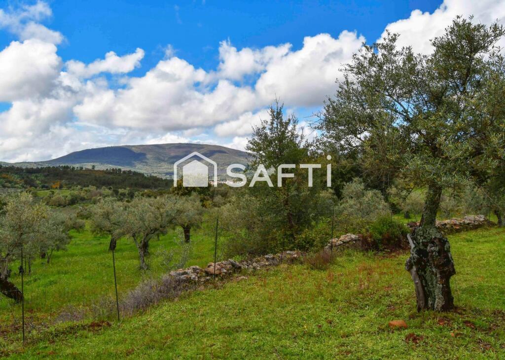 Imagen 2 de Fantástica finca rústica en pleno Sierra de Gata.