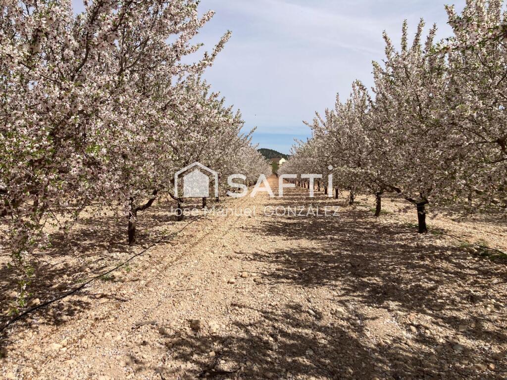 Imagen 4 de Increible finca en un paraje incomparable