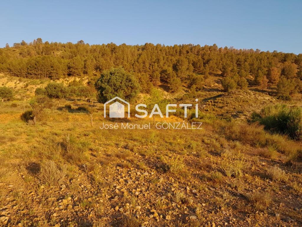 Imagen 4 de Terreno con Vistas Inmejorables y Ubicación Privilegiada