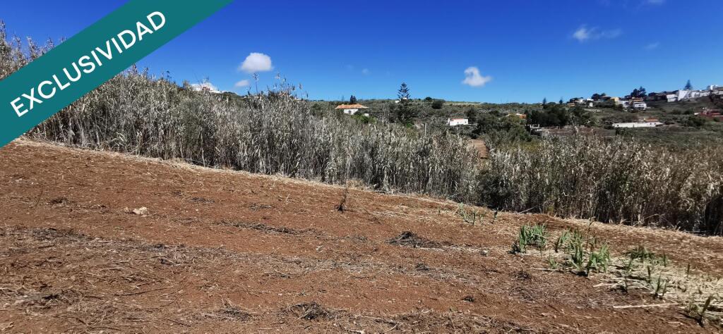 Imagen 4 de SE VENDE BONITA FINCA RÚSTICA EN LO BLANCO (SAN JOSÉ DEL ÁLAMO)