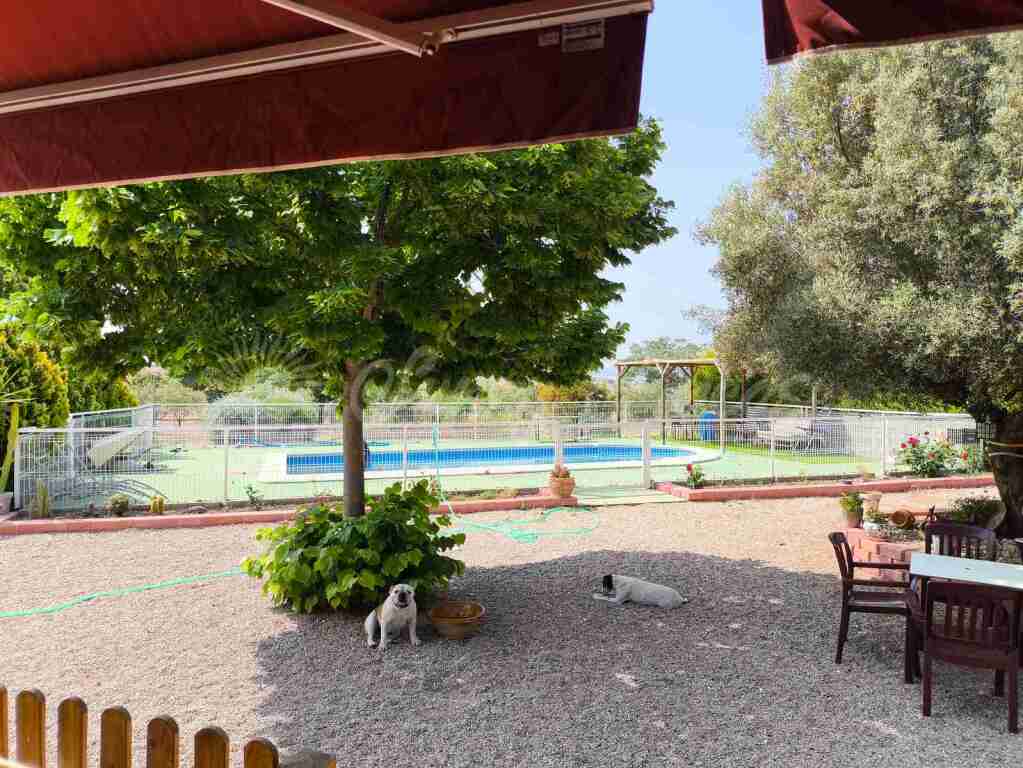 Imagen 3 de Casa-Chalet en Venta en Almansa Albacete