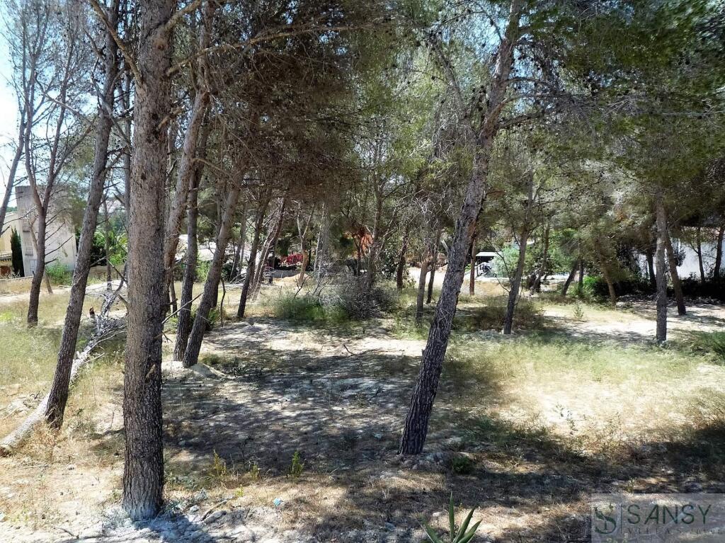 Imagen 2 de Suelo urbanizable en Venta en Raco De Galeno Alicante