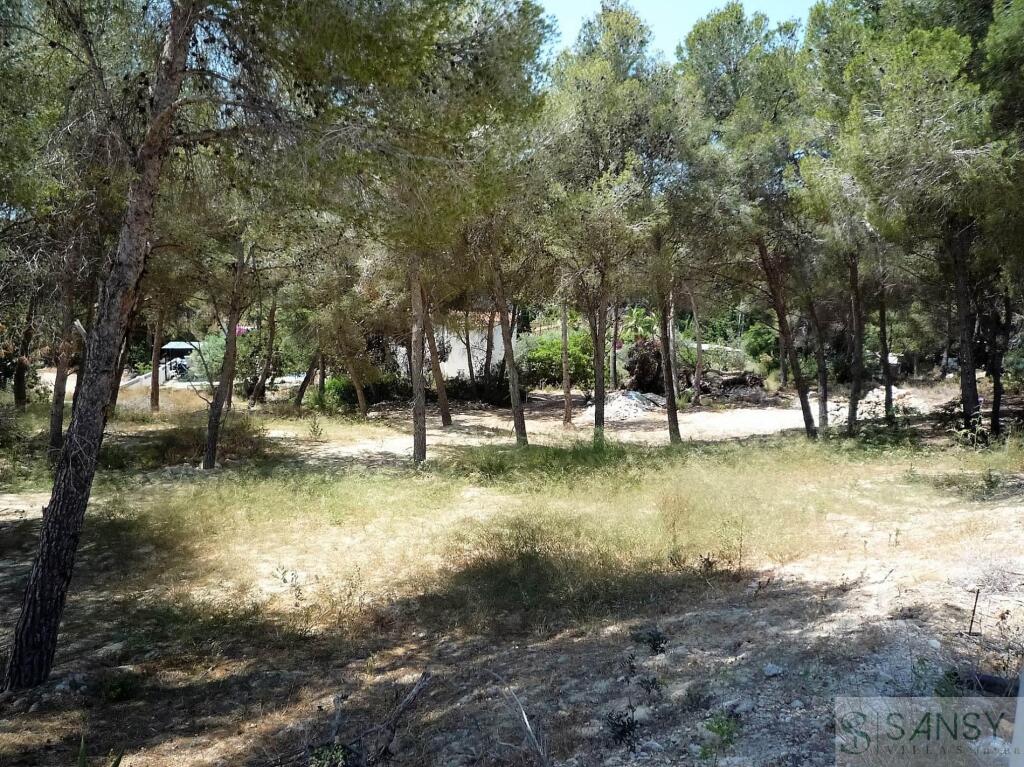 Imagen 3 de Suelo urbanizable en Venta en Raco De Galeno Alicante