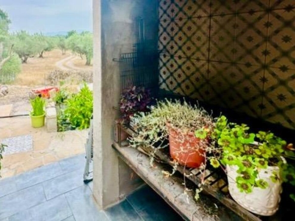 Imagen 4 de Casa  de campo al pie dels Ports