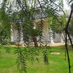 Imagen 1 de Casa-Chalet en Venta en ALTER - El Club del Propietario Imagen 1 de Casa-Chalet en Venta en ALTER