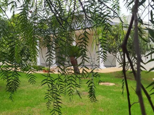 Imagen 1 de Casa-Chalet en Venta en ALTER