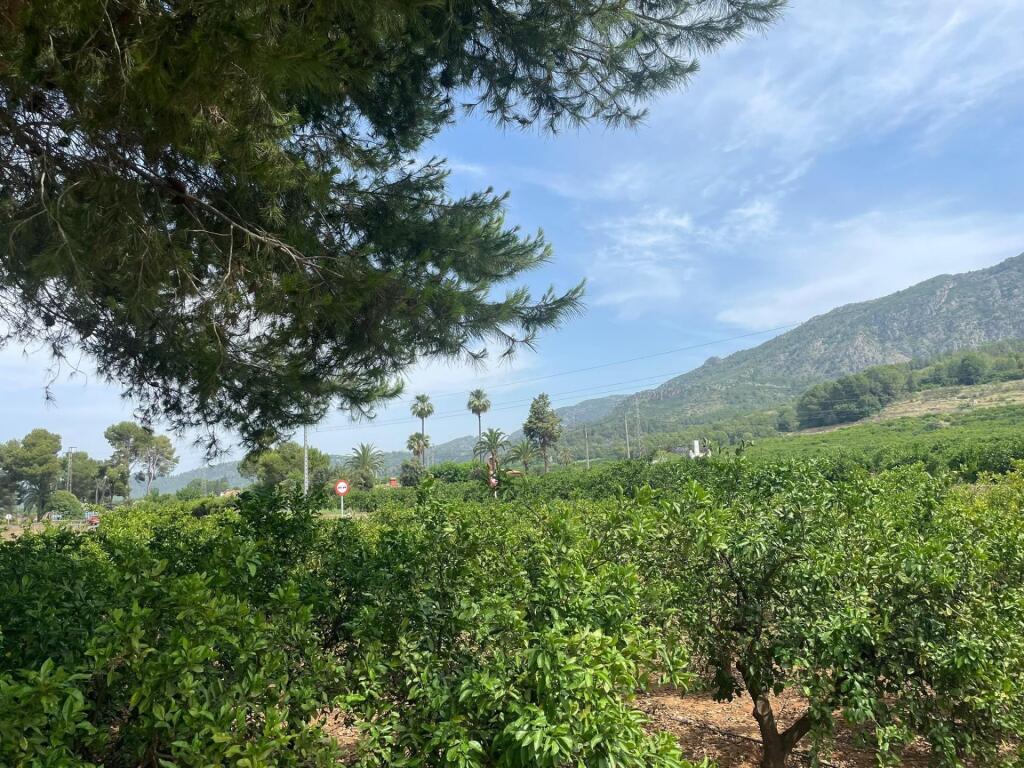 Imagen 2 de SE VENDE CASA RUSTICO