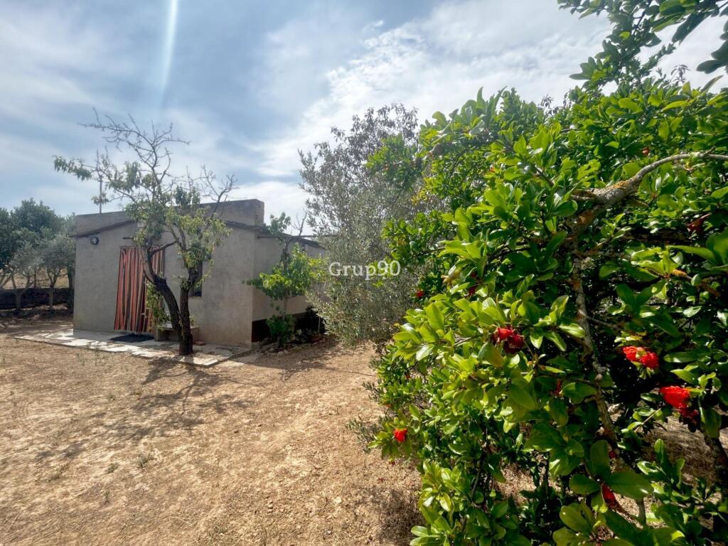 Imagen 2 de ¡Escapada perfecta en Utxesa! Finca rústica en plena naturaleza ?