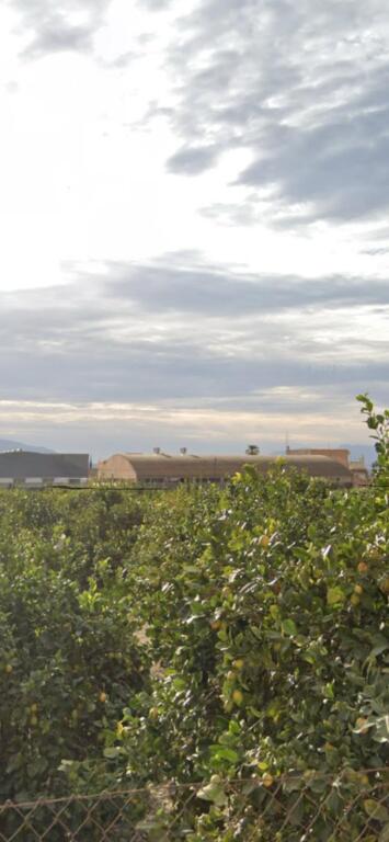 Imagen 3 de Suelo urbanizable en Venta en Murcia Murcia