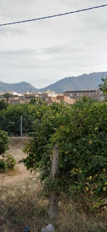 Imagen 4 de Suelo urbanizable en Venta en Murcia Murcia
