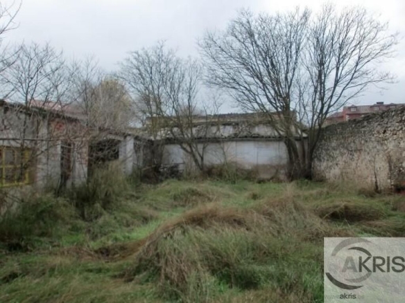 Imagen 4 de TERRENO URBANO EN BELMONTE DE TAJO