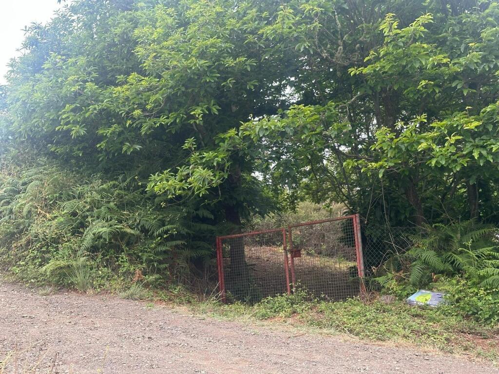 Imagen 2 de Finca en Teror