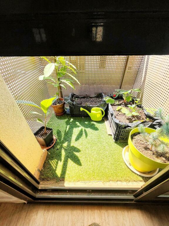 Imagen 4 de DÚPLEX CON TERRAZA Y LUZ NATURAL EN ZONA TRANQUILA