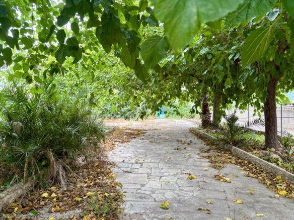 Imagen 3 de Finca con casa para terminar y nave en Jesús