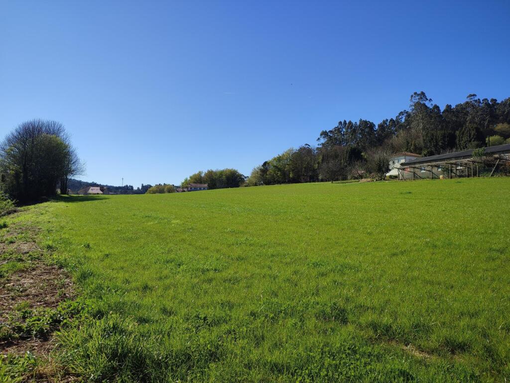 Imagen 3 de Finca edificable