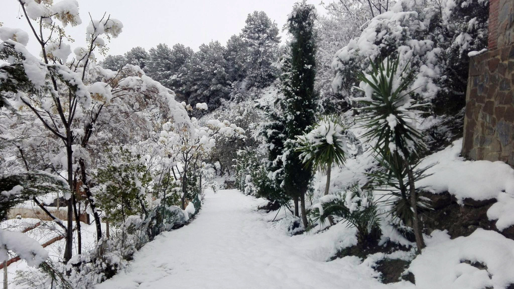 El Málaga