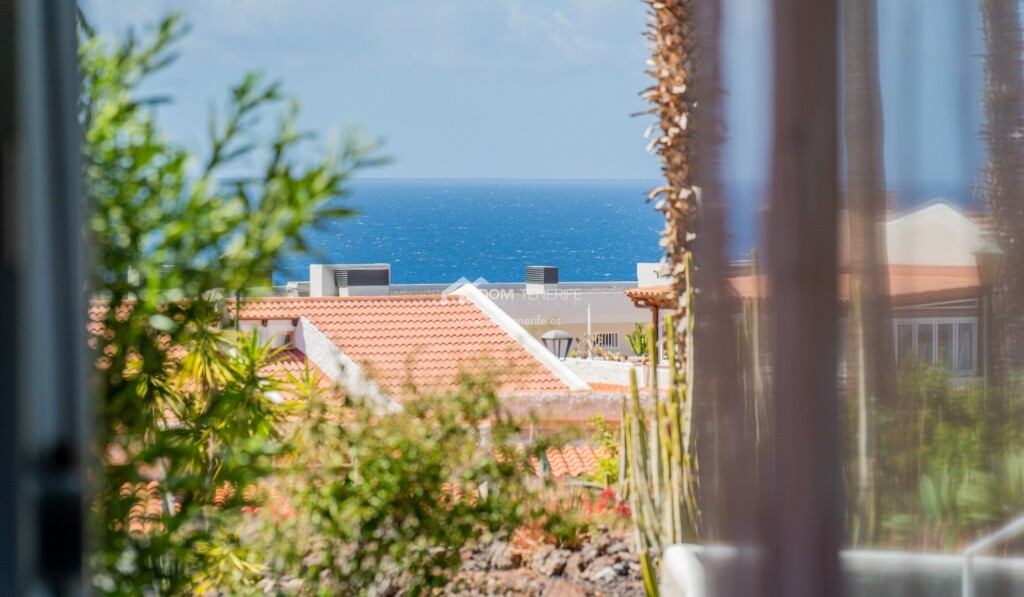 Imagen 2 de Estudio en Alquiler en Adeje Santa Cruz de Tenerife