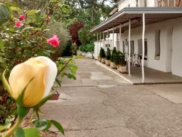 Imagen 1 de OPORTUNIDAD: ?️ ¡Se traspasa restaurante en la partida Butsènit (Lleida)!