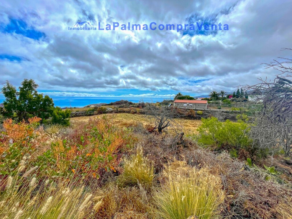 El Santa Cruz de Tenerife