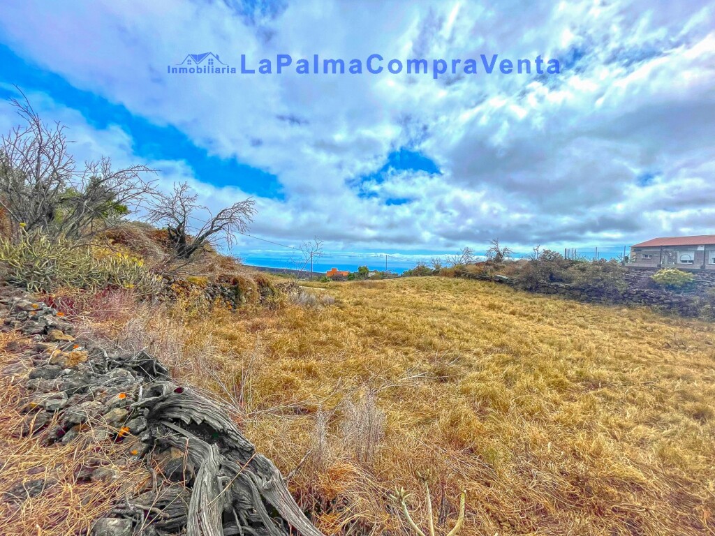Imagen 2 de Suelo urbanizable en Venta en Paso