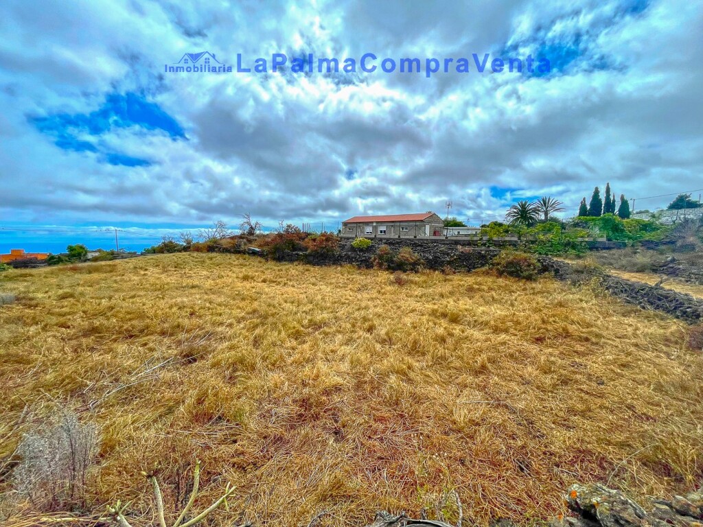 El Santa Cruz de Tenerife