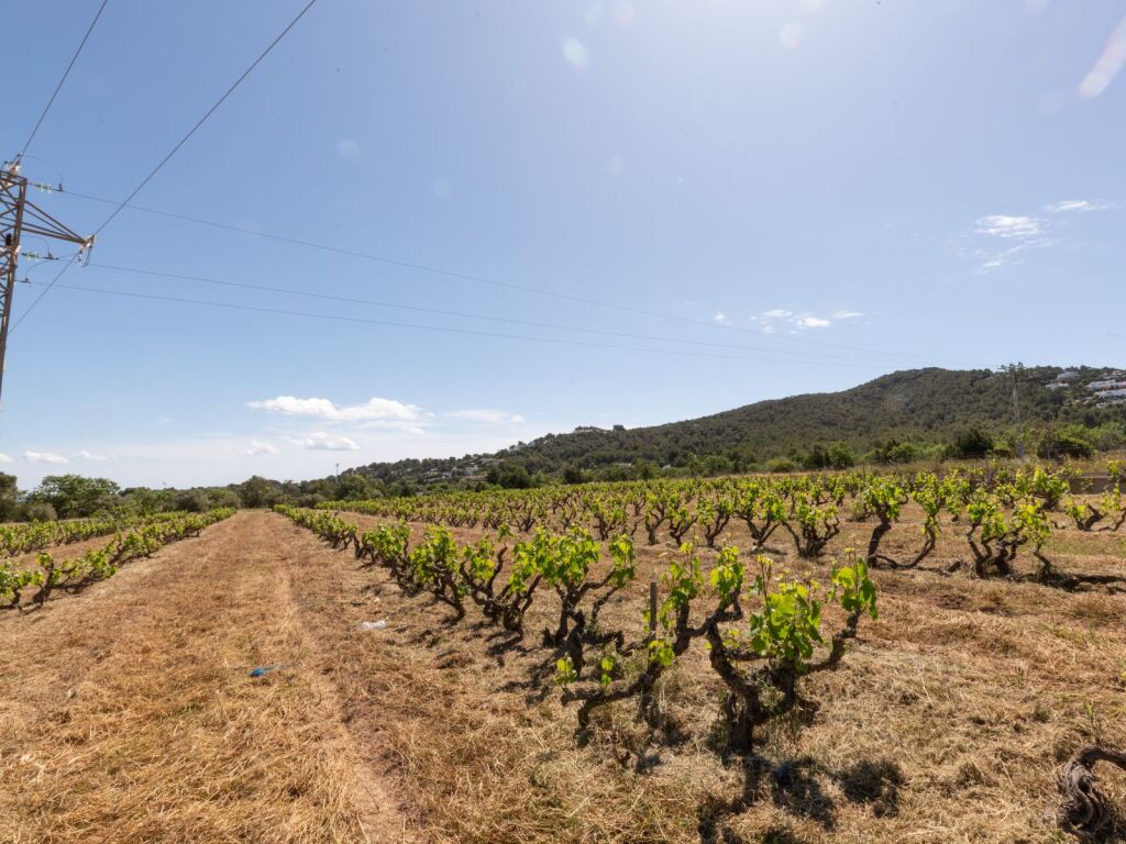 Imagen 2 de Casa de campo-Masía en Venta en Cala Bassa Baleares